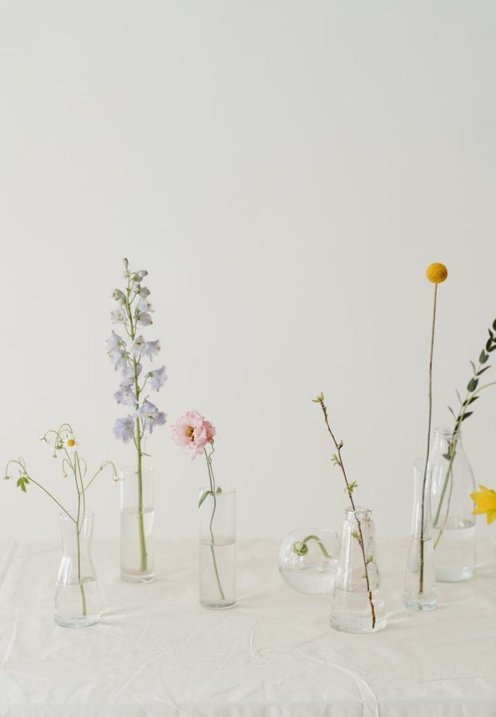 photo of flowers in clear glass vase